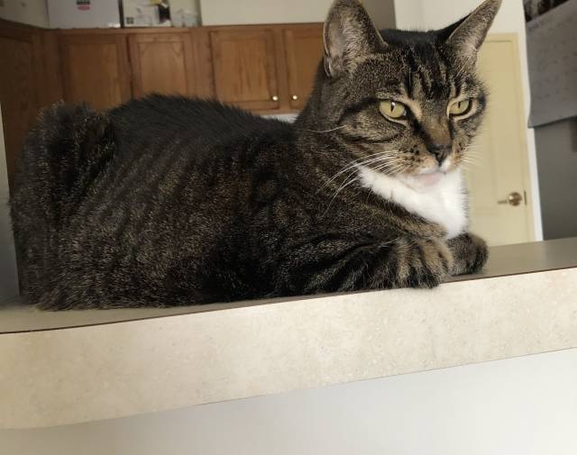 Katy Profile Image