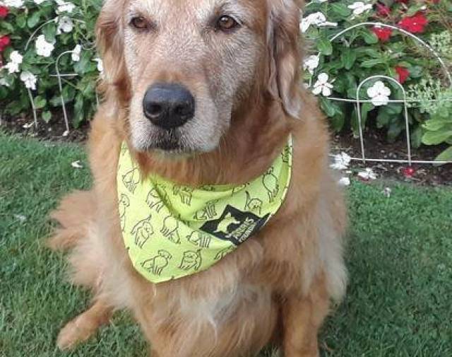 Brody  Profile Image