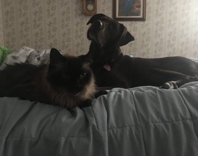 Sometimes they were the best of buds