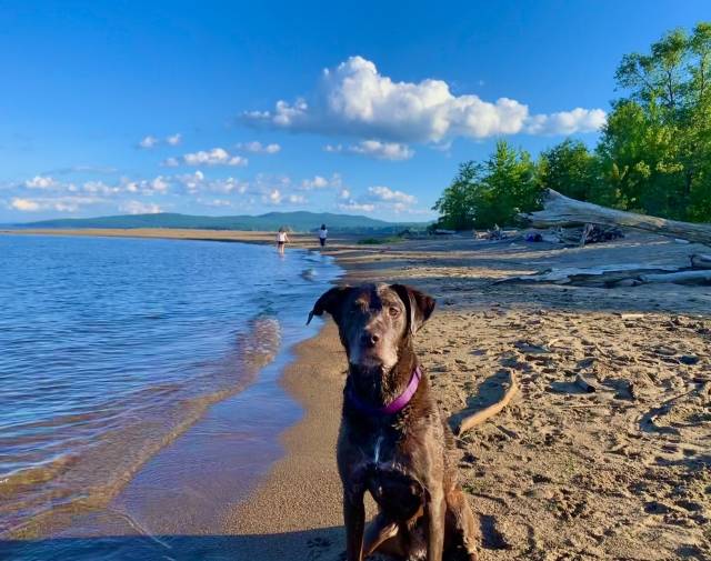 She loved the water, but she was terrible at swimming