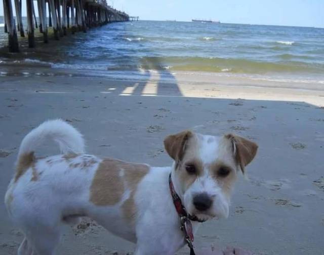 My 1st visit to the Ocean 