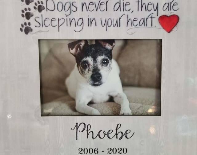 Phoebe  Gallery Image 2