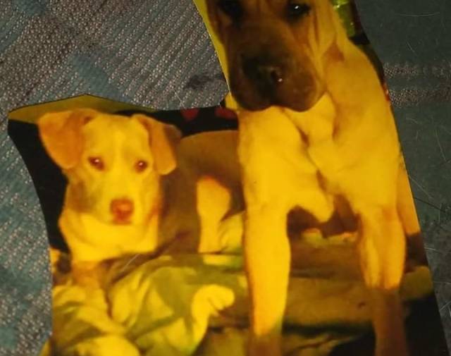 Georgia& Klubbie  Profile Image