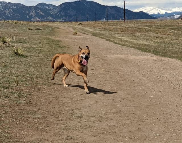 Cinnamon Unleashed on the World