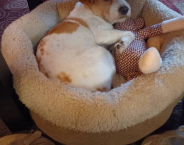 Mom, I'm trying to sleep