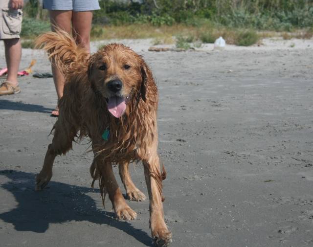 Beach, please