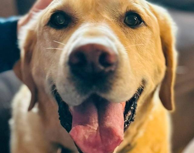 Buddy Profile Image