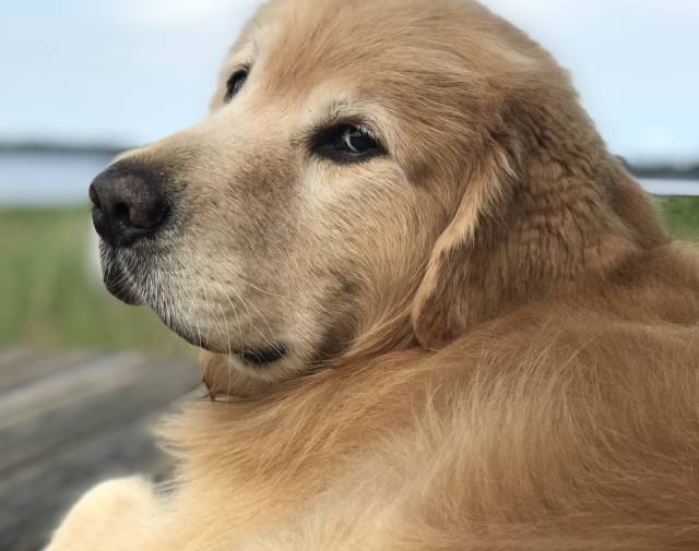 Tanner Hero #1070 Profile Image