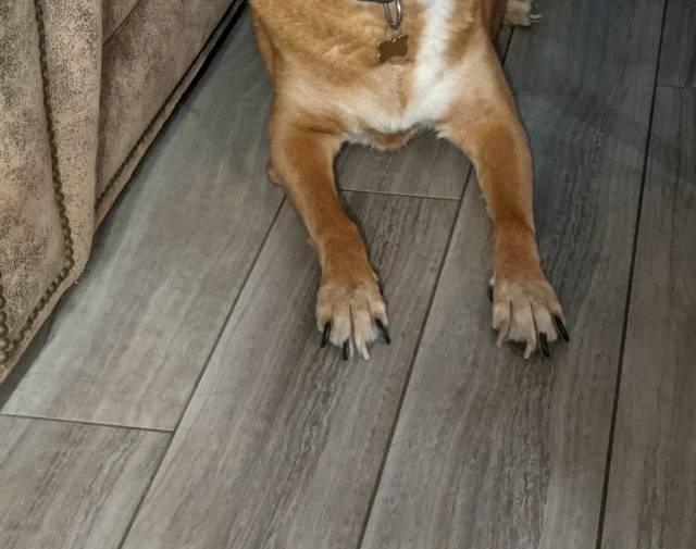 Cinnamon just being herself