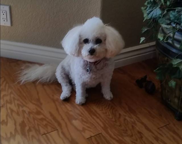 Molly Profile Image
