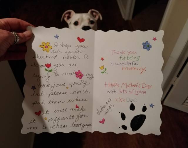 Even mother day cards.  Help of his Grammy. 