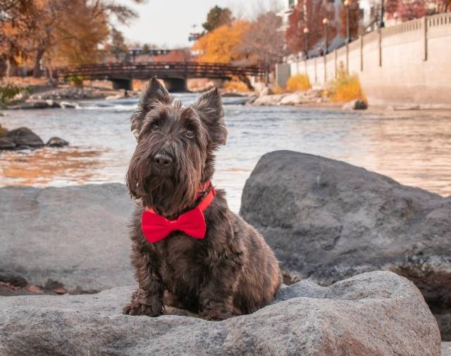 Wallace "by the river" Profile Image