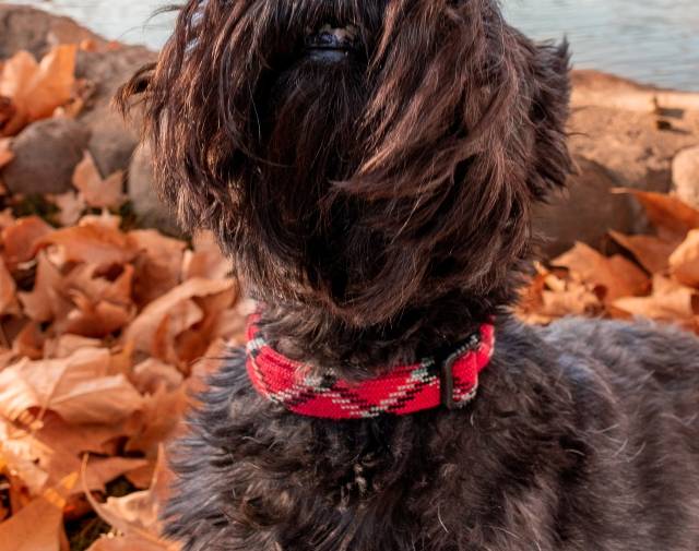 Wallace "by the river" Gallery Image 1